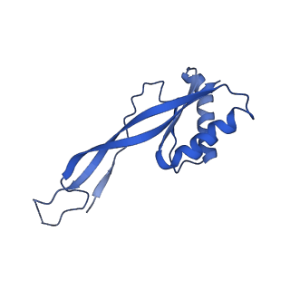 9616_6agb_G_v1-4
Cryo-EM structure of yeast Ribonuclease P