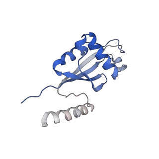 9616_6agb_H_v1-3
Cryo-EM structure of yeast Ribonuclease P