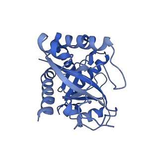 9616_6agb_I_v1-3
Cryo-EM structure of yeast Ribonuclease P