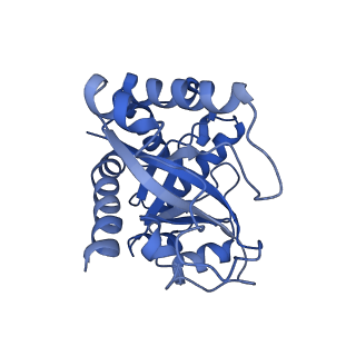 9616_6agb_I_v1-4
Cryo-EM structure of yeast Ribonuclease P