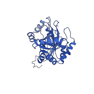 9616_6agb_J_v1-3
Cryo-EM structure of yeast Ribonuclease P