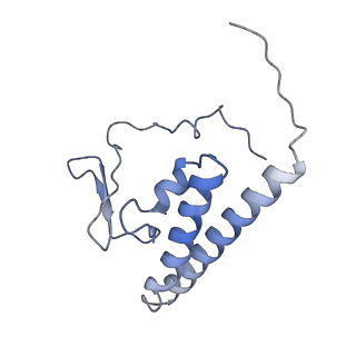 9616_6agb_K_v1-3
Cryo-EM structure of yeast Ribonuclease P