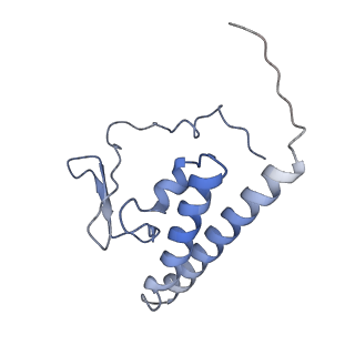 9616_6agb_K_v1-4
Cryo-EM structure of yeast Ribonuclease P