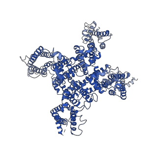 9617_6agf_A_v1-1
Structure of the human voltage-gated sodium channel Nav1.4 in complex with beta1