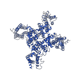 9617_6agf_A_v2-0
Structure of the human voltage-gated sodium channel Nav1.4 in complex with beta1