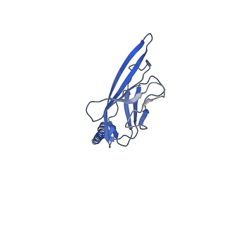 9617_6agf_B_v1-1
Structure of the human voltage-gated sodium channel Nav1.4 in complex with beta1