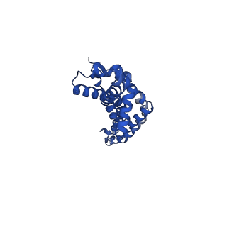 11781_7ah9_1F_v1-0
Substrate-engaged type 3 secretion system needle complex from Salmonella enterica typhimurium - SpaR state 1