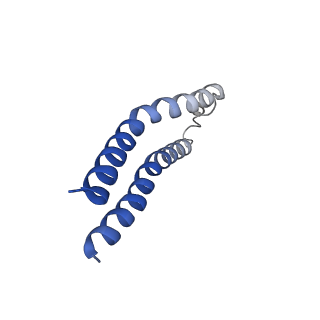 11781_7ah9_1G_v1-0
Substrate-engaged type 3 secretion system needle complex from Salmonella enterica typhimurium - SpaR state 1