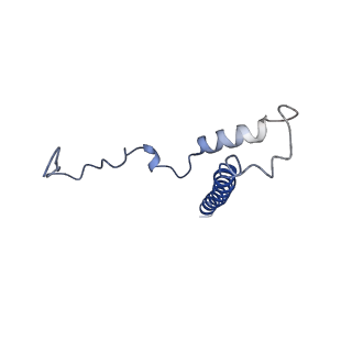 11781_7ah9_1K_v1-0
Substrate-engaged type 3 secretion system needle complex from Salmonella enterica typhimurium - SpaR state 1