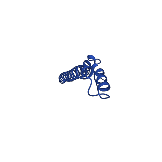 11781_7ah9_2K_v1-0
Substrate-engaged type 3 secretion system needle complex from Salmonella enterica typhimurium - SpaR state 1