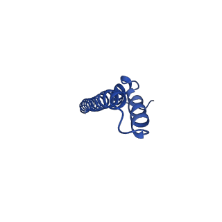 11781_7ah9_3B_v1-0
Substrate-engaged type 3 secretion system needle complex from Salmonella enterica typhimurium - SpaR state 1