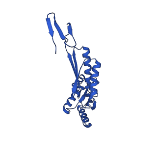 11781_7ah9_7A_v1-0
Substrate-engaged type 3 secretion system needle complex from Salmonella enterica typhimurium - SpaR state 1