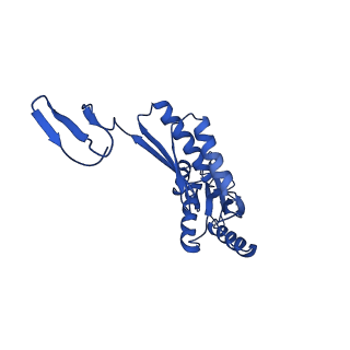 11781_7ah9_7C_v1-0
Substrate-engaged type 3 secretion system needle complex from Salmonella enterica typhimurium - SpaR state 1
