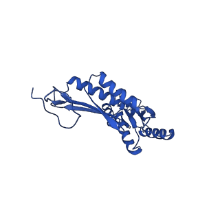 11781_7ah9_7E_v1-0
Substrate-engaged type 3 secretion system needle complex from Salmonella enterica typhimurium - SpaR state 1