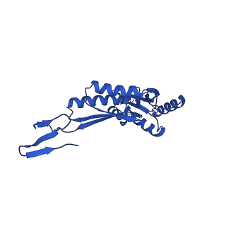 11781_7ah9_7G_v1-0
Substrate-engaged type 3 secretion system needle complex from Salmonella enterica typhimurium - SpaR state 1
