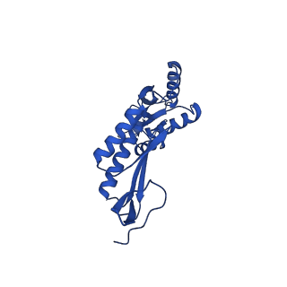 11781_7ah9_7K_v1-0
Substrate-engaged type 3 secretion system needle complex from Salmonella enterica typhimurium - SpaR state 1