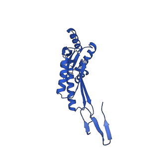 11781_7ah9_7M_v1-0
Substrate-engaged type 3 secretion system needle complex from Salmonella enterica typhimurium - SpaR state 1