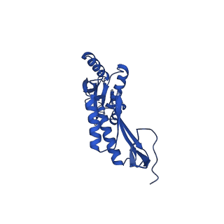 11781_7ah9_7N_v1-0
Substrate-engaged type 3 secretion system needle complex from Salmonella enterica typhimurium - SpaR state 1