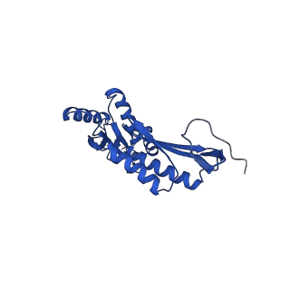 11781_7ah9_7Q_v1-0
Substrate-engaged type 3 secretion system needle complex from Salmonella enterica typhimurium - SpaR state 1