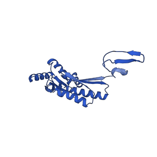 11781_7ah9_7R_v1-0
Substrate-engaged type 3 secretion system needle complex from Salmonella enterica typhimurium - SpaR state 1
