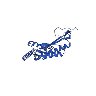 11781_7ah9_7T_v1-0
Substrate-engaged type 3 secretion system needle complex from Salmonella enterica typhimurium - SpaR state 1