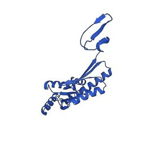 11781_7ah9_7U_v1-0
Substrate-engaged type 3 secretion system needle complex from Salmonella enterica typhimurium - SpaR state 1