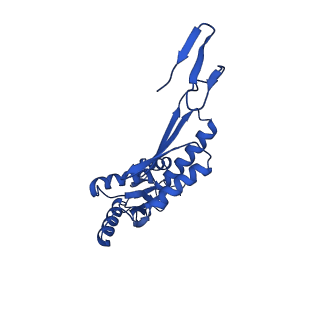 11781_7ah9_7V_v1-0
Substrate-engaged type 3 secretion system needle complex from Salmonella enterica typhimurium - SpaR state 1