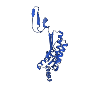 11781_7ah9_7X_v1-0
Substrate-engaged type 3 secretion system needle complex from Salmonella enterica typhimurium - SpaR state 1