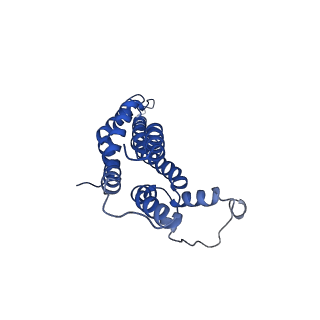 11781_7ahi_1C_v1-1
Substrate-engaged type 3 secretion system needle complex from Salmonella enterica typhimurium - SpaR state 2