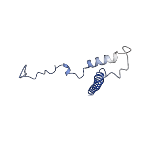 11781_7ahi_1K_v1-1
Substrate-engaged type 3 secretion system needle complex from Salmonella enterica typhimurium - SpaR state 2