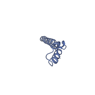 11781_7ahi_3X_v1-1
Substrate-engaged type 3 secretion system needle complex from Salmonella enterica typhimurium - SpaR state 2