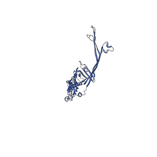 11781_7ahi_5K_v1-1
Substrate-engaged type 3 secretion system needle complex from Salmonella enterica typhimurium - SpaR state 2