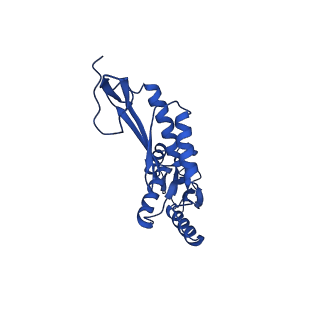 11781_7ahi_7B_v1-1
Substrate-engaged type 3 secretion system needle complex from Salmonella enterica typhimurium - SpaR state 2