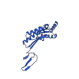 11781_7ahi_7I_v1-1
Substrate-engaged type 3 secretion system needle complex from Salmonella enterica typhimurium - SpaR state 2