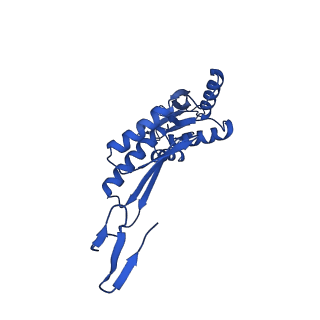 11781_7ahi_7J_v1-1
Substrate-engaged type 3 secretion system needle complex from Salmonella enterica typhimurium - SpaR state 2