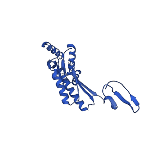 11781_7ahi_7O_v1-1
Substrate-engaged type 3 secretion system needle complex from Salmonella enterica typhimurium - SpaR state 2