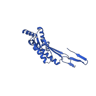 11781_7ahi_7P_v1-1
Substrate-engaged type 3 secretion system needle complex from Salmonella enterica typhimurium - SpaR state 2