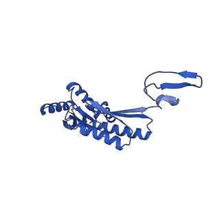 11781_7ahi_7R_v1-1
Substrate-engaged type 3 secretion system needle complex from Salmonella enterica typhimurium - SpaR state 2
