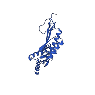 11781_7ahi_7W_v1-1
Substrate-engaged type 3 secretion system needle complex from Salmonella enterica typhimurium - SpaR state 2
