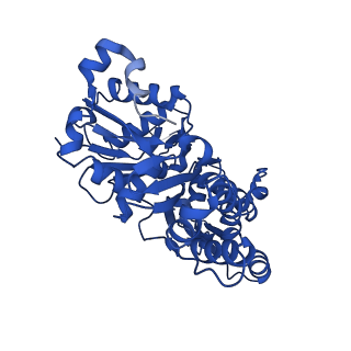 11787_7ahn_A_v1-1
Cryo-EM structure of F-actin stabilized by cis-optoJASP-8
