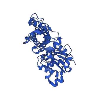 11787_7ahn_B_v1-1
Cryo-EM structure of F-actin stabilized by cis-optoJASP-8