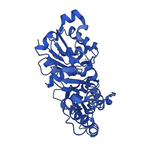 11787_7ahn_C_v1-1
Cryo-EM structure of F-actin stabilized by cis-optoJASP-8