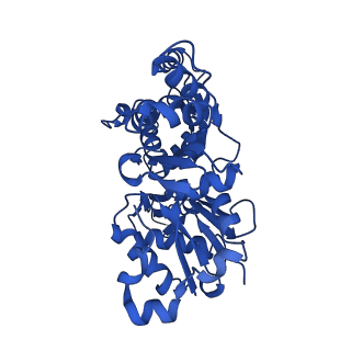 11787_7ahn_D_v1-1
Cryo-EM structure of F-actin stabilized by cis-optoJASP-8