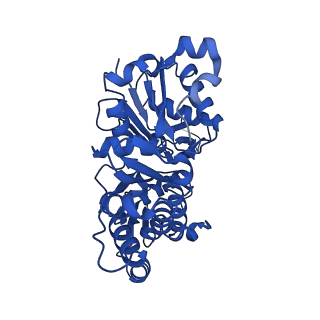 11787_7ahn_E_v1-1
Cryo-EM structure of F-actin stabilized by cis-optoJASP-8