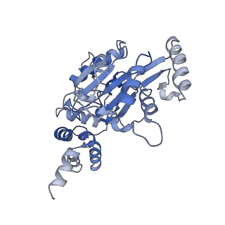 11789_7aho_A_v1-0
RUVBL1-RUVBL2 heterohexameric ring after binding of RNA helicase DHX34