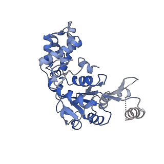 11789_7aho_B_v1-0
RUVBL1-RUVBL2 heterohexameric ring after binding of RNA helicase DHX34