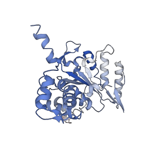 11789_7aho_C_v1-0
RUVBL1-RUVBL2 heterohexameric ring after binding of RNA helicase DHX34