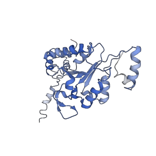 11789_7aho_D_v1-0
RUVBL1-RUVBL2 heterohexameric ring after binding of RNA helicase DHX34