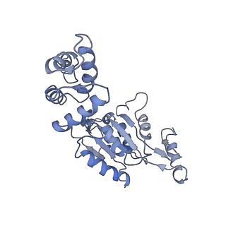 11789_7aho_E_v1-0
RUVBL1-RUVBL2 heterohexameric ring after binding of RNA helicase DHX34