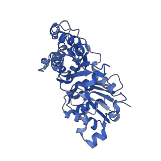 11790_7ahq_A_v1-1
Cryo-EM structure of F-actin stabilized by trans-optoJASP-8
